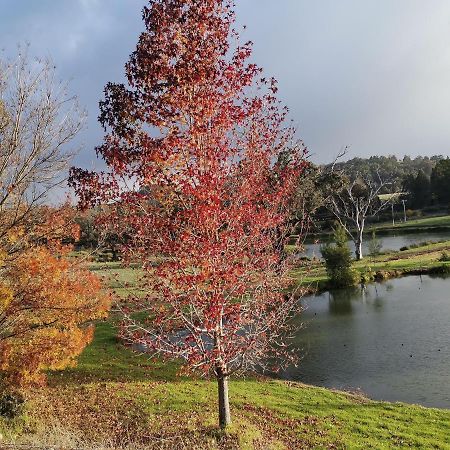 Woodlands Of Balingup Bush Cottages Bagian luar foto