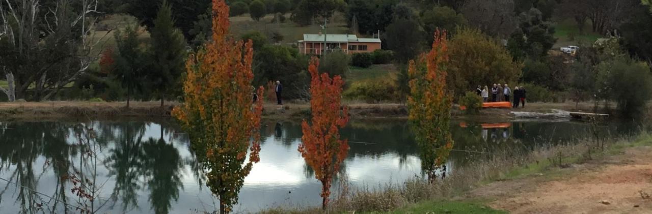 Woodlands Of Balingup Bush Cottages Bagian luar foto