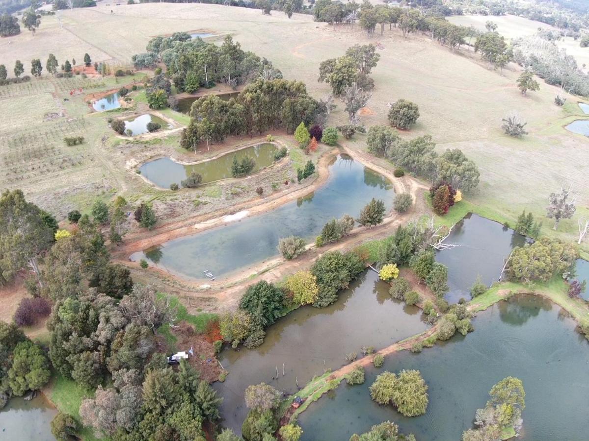 Woodlands Of Balingup Bush Cottages Bagian luar foto