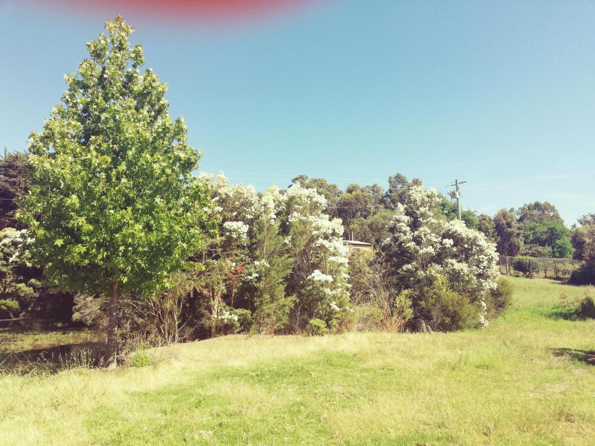 Woodlands Of Balingup Bush Cottages Bagian luar foto