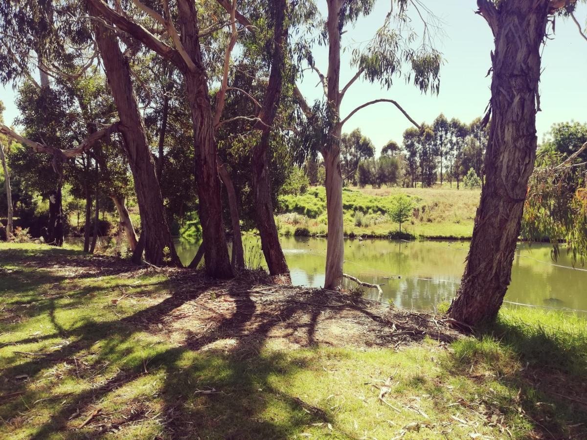 Woodlands Of Balingup Bush Cottages Bagian luar foto